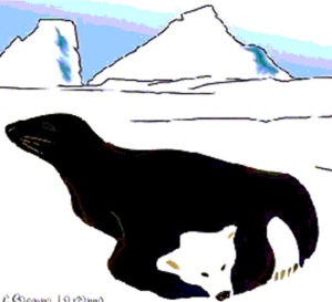 Bear and Seal